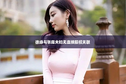 徐峥与张庭夫妇无直接股权关联第1张-美商凯丽钻石团队