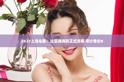 2023上海车展：比亚迪海鸥正式亮相 预计售价8第1张-美商凯丽钻石团队