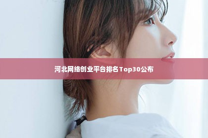 河北网络创业平台排名Top30公布