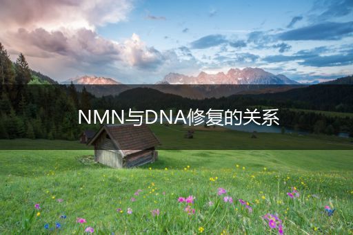 NMN与DNA修复的关系第1张-美商凯丽钻石团队