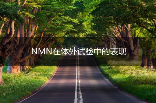 NMN在体外试验中的表现