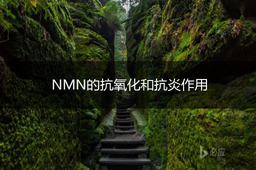 NMN的抗氧化和抗炎作用