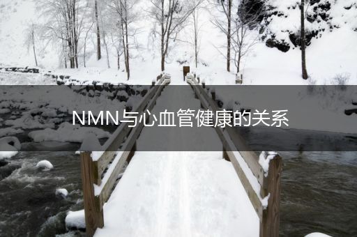 NMN与心血管健康的关系